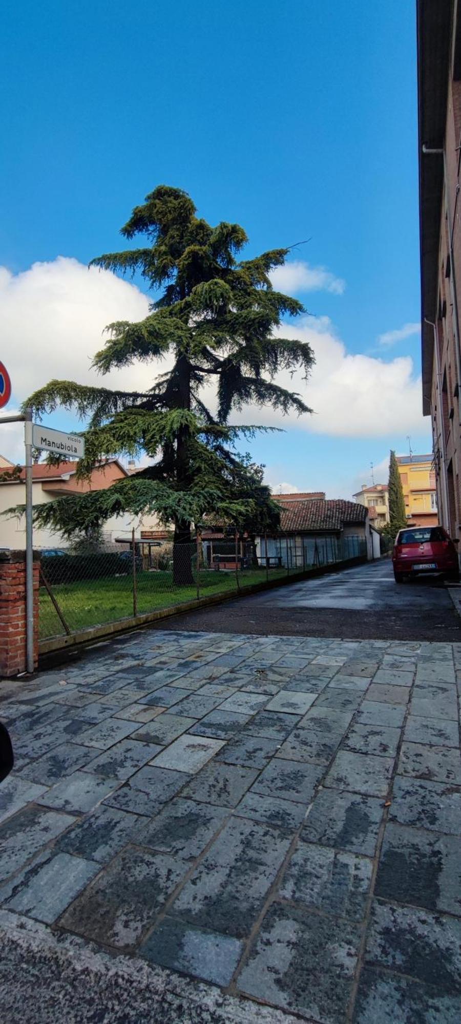 La Porta Verde 8 Collecchio Eksteriør bilde